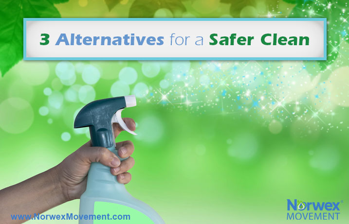 3 Alternatives for a Safer Clean