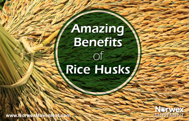 Amazing Benefits of Rice Husks