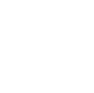 Idea Bulb icon