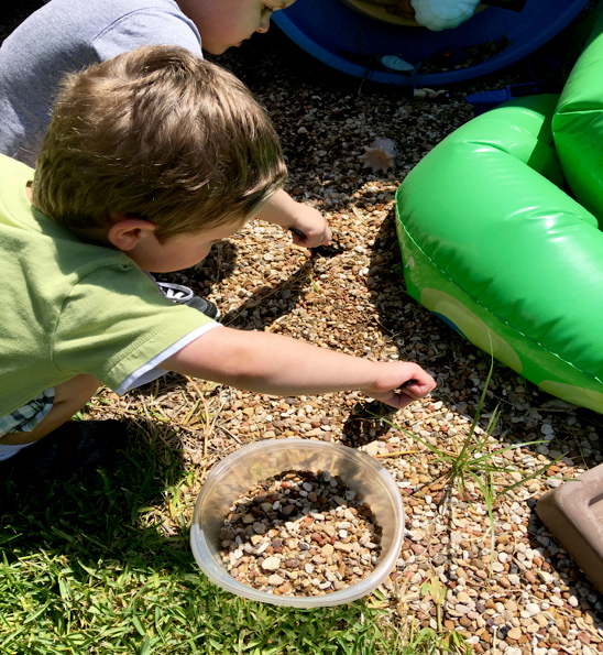 Collecting Gravel for Moss Terrarium