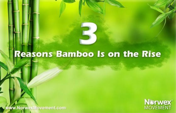3 Reasons Bamboo Is on the Rise