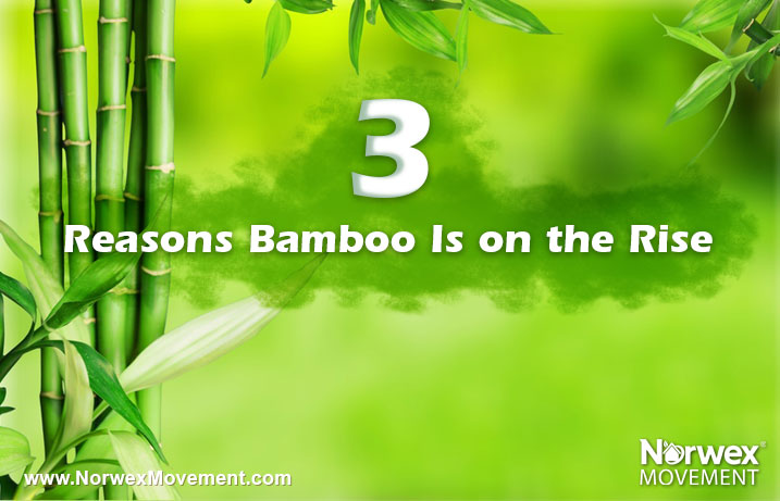 3 Reasons Bamboo Is on the Rise