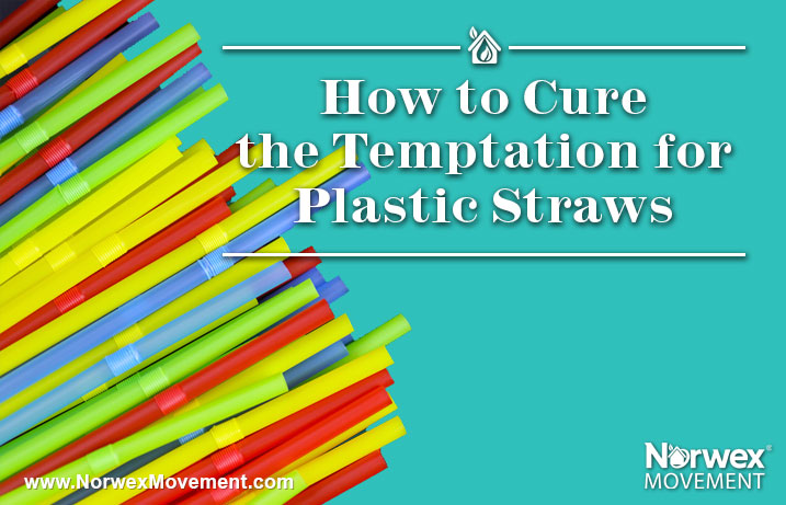 How to Cure the Temptation for Plastic Straws