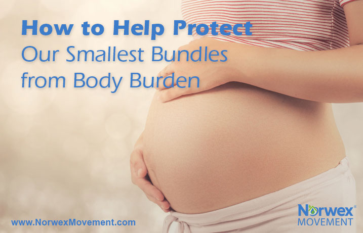 How to Help Protect Our Smallest Bundles from Body Burden