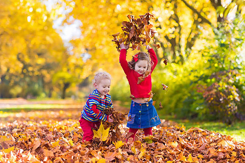 kids playing in leaves