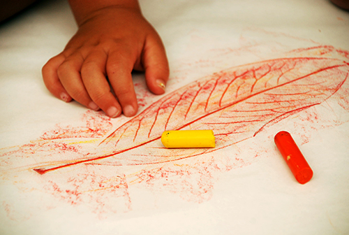 Kids Leaf Rubbings