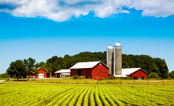 Working Farm