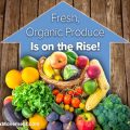 Fresh, Organic Produce Is on the Rise!