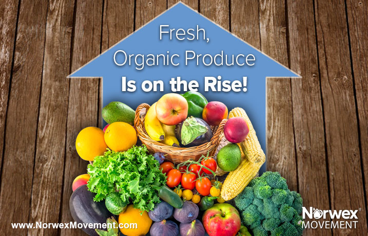 Fresh, Organic Produce Is on the Rise!