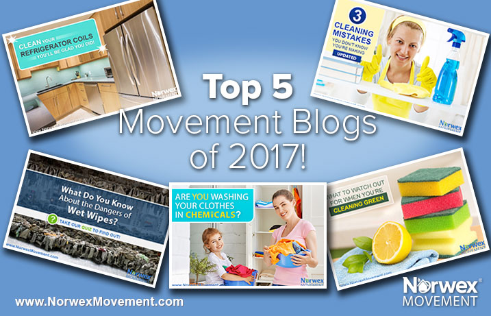 Top 5 Movement Blogs of 2017!