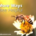 5 More Ways to Bee Helpful
