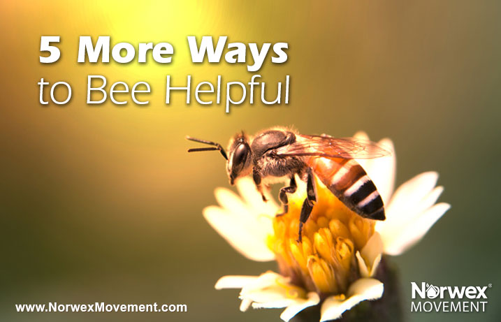 5 More Ways to Bee Helpful