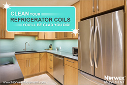 Clean Your Refrigerator Coils