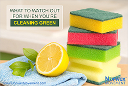What to Watch Out for When You’re Cleaning Green