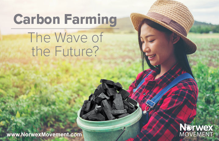 Carbon Farming—The Wave of the Future?