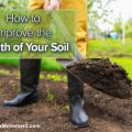 How to Improve the Health of Your Soil