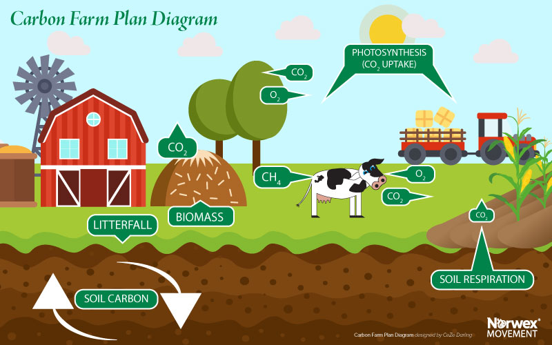 Carbon Farming Plan by CeZe Darling