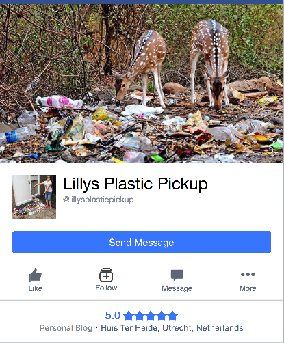 Lilly’s Plastic Pickup
