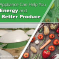 Biogas Appliance Can Help You Save Energy and Grow Better Produce