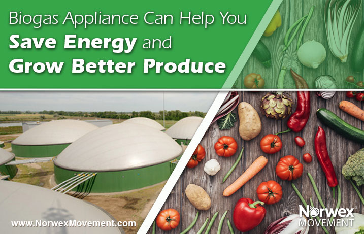 Biogas Appliance Can Help You Save Energy and Grow Better Produce