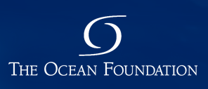 The Ocean Foundation