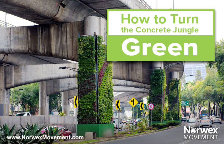 How to Turn the Concrete Jungle Green