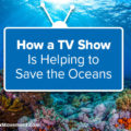 How a TV Show Is Helping to Save the Oceans