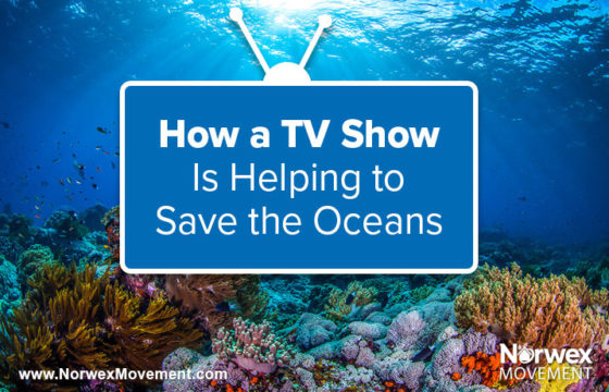 How a TV Show Is Helping to Save the Oceans