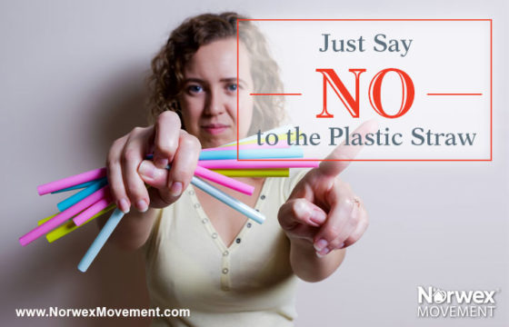 Just Say No to the Plastic Straw