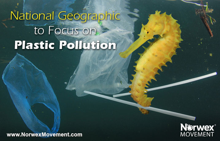 National Geographic to Focus on Plastic Pollution