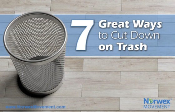 7 Great Ways to Cut Down on Trash