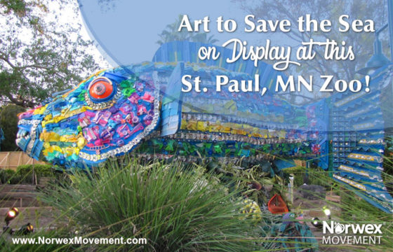 Art to Save the Sea on Display at this St. Paul, Minnesota Zoo!