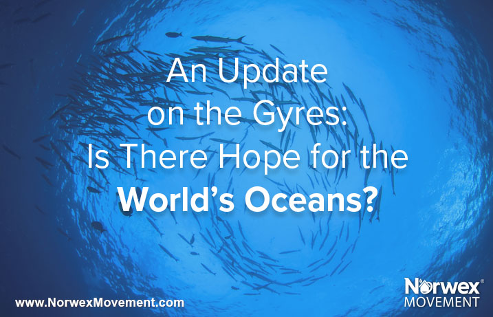 An Update on the Gyres: Is There Hope for the World’s Oceans?