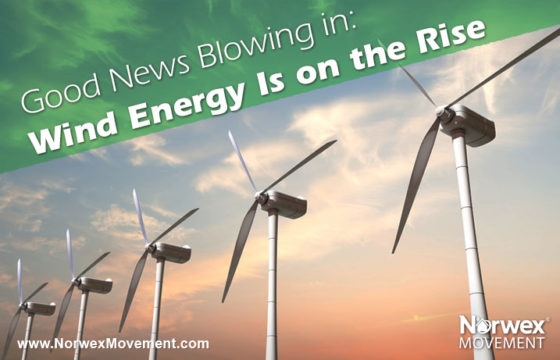 Good News Blowing in: Wind Energy Is on the Rise