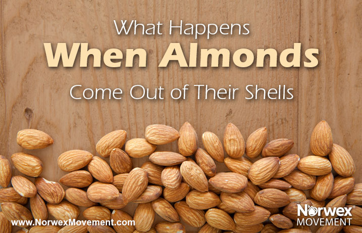 What Happens When Almonds Come Out of Their Shells