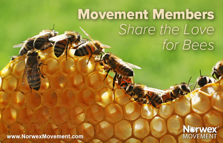 Movement Members Share the Love for Bees