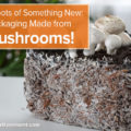 The Roots of Something New: Packaging Made from Mushrooms!