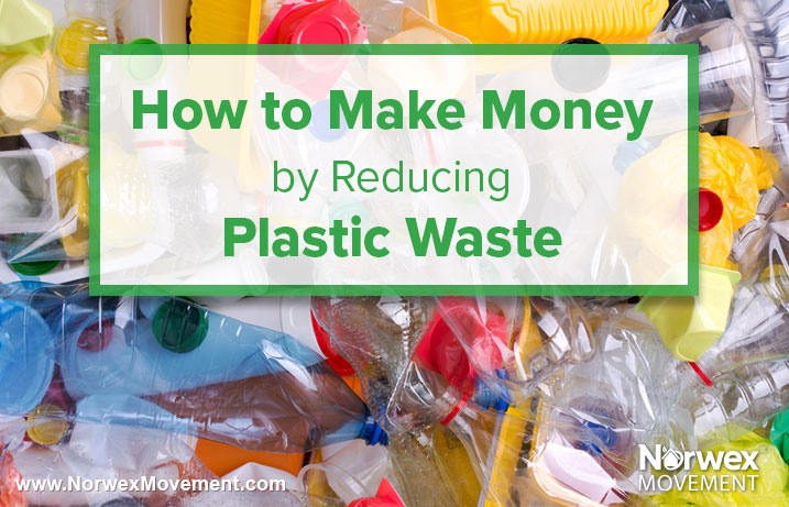 How to Make Money by Reducing Plastic Waste