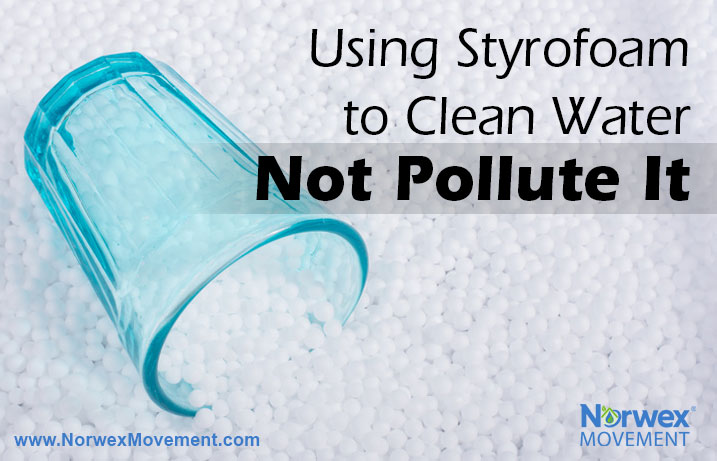 Using Styrofoam to Clean Water—Not Pollute It