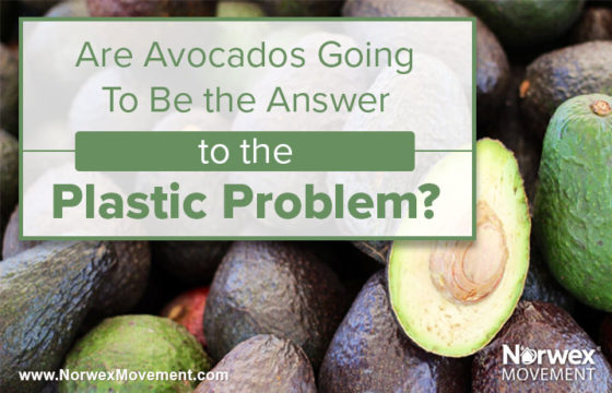 Are Avocados Going To Be the Answer to the Plastic Problem?