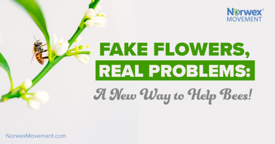 Fake Flowers, Real Problems: A New Way to Help Bees!