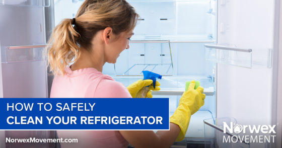 How to Safely Clean Your Refrigerator