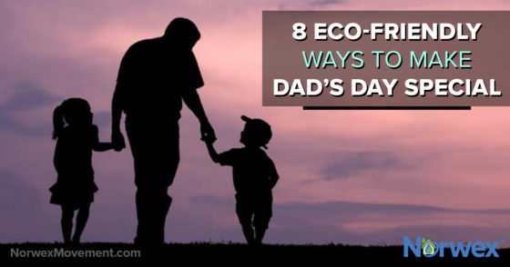 8 Eco-Friendly Ways to Make Dad’s Day Special