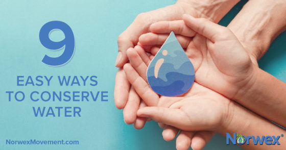 9 Easy Ways to Conserve Water